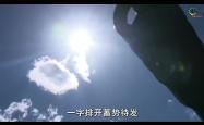 开云体育-中流砥柱连得分，蓄势待发犹如炮弹的简单介绍