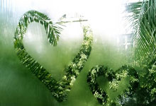 开云体育app-世界各地人们对足球赛事的热情与日俱增的简单介绍