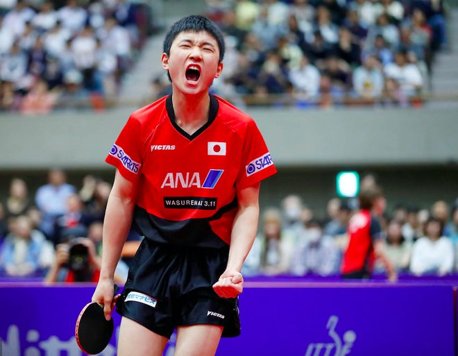 奥地利乒乓球队横扫波兰乒乓球队,张继科关键制胜的简单介绍 奥地利乒乓球队横扫波兰乒乓球队,张继科关键制胜的简单介绍